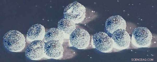 Scientists Unveil First Liquid Marble Collision Computing Experiment