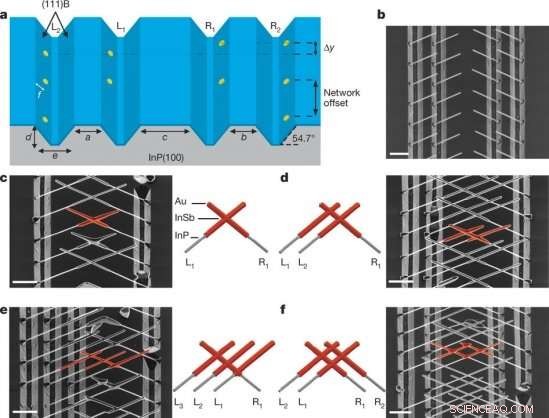 Nano‑wire networks may unlock Majorana quasiparticles for topological quantum computing