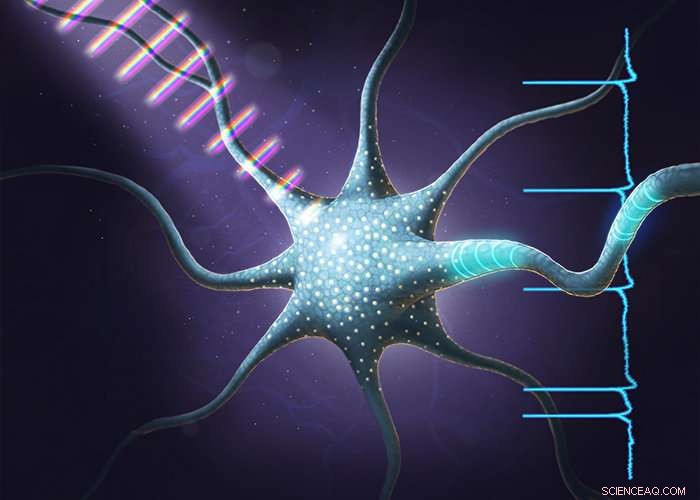 Precision Light Pulses Enable Targeted Control of Neuronal Activity