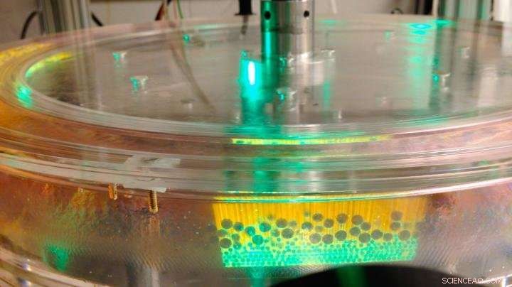 Scientists Uncover Brazil Nut Effect as Key to River Bed Stability