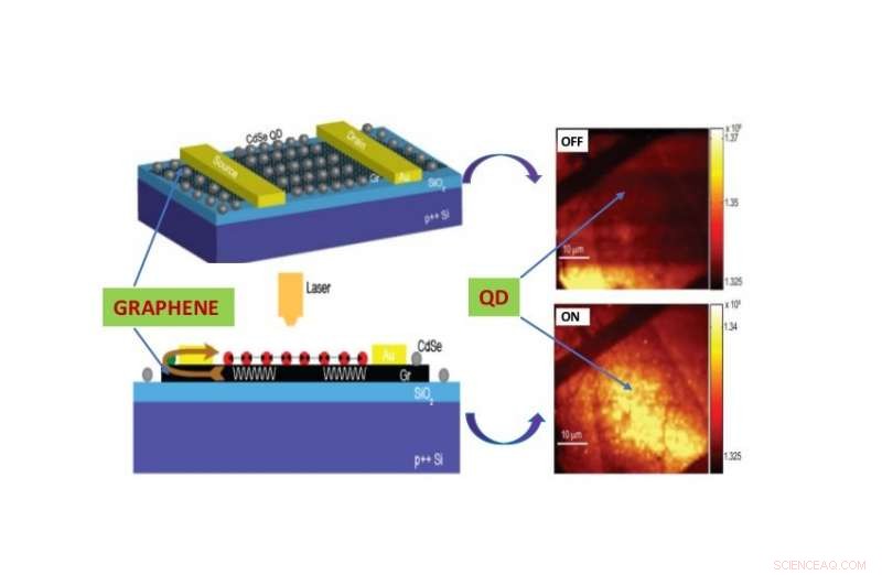 Graphene‑Quantum Dot Hybrid Promises Ultra‑Efficient Next‑Gen Displays and LEDs