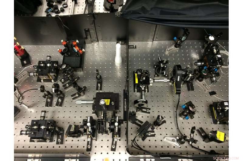 Quantum Optics Provides Cost‑Effective Laser Alternative for Advanced Spectroscopy