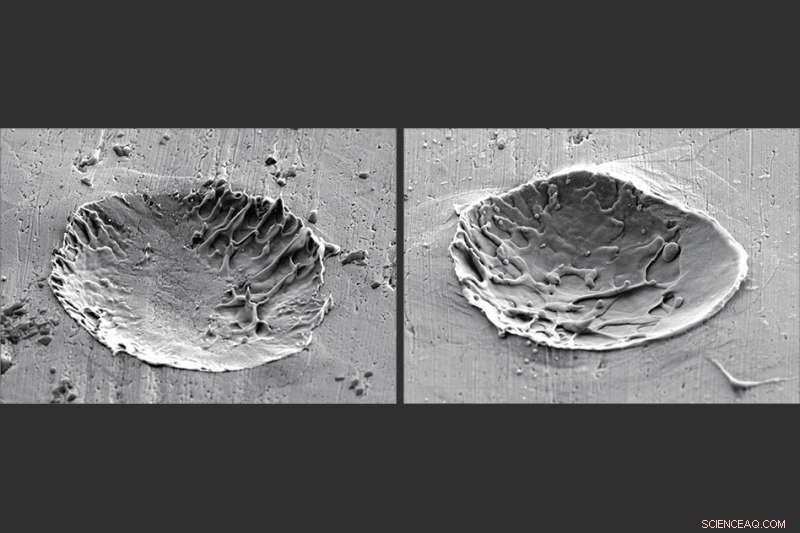 New Study Reveals Proven Methods to Ensure Sprayed Metal Coatings Bond Strongly