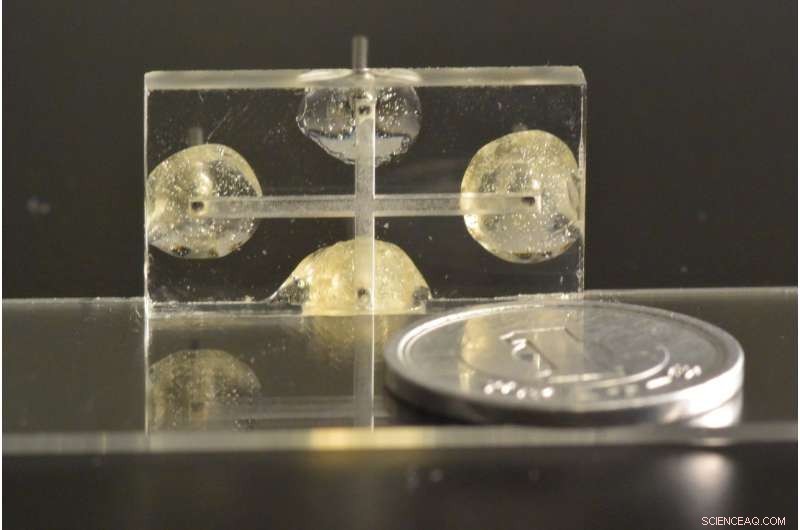 Harnessing Polymers to Control Vortex Dynamics