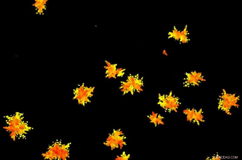 Physics Drives Evolution by Breaking Structural Constraints