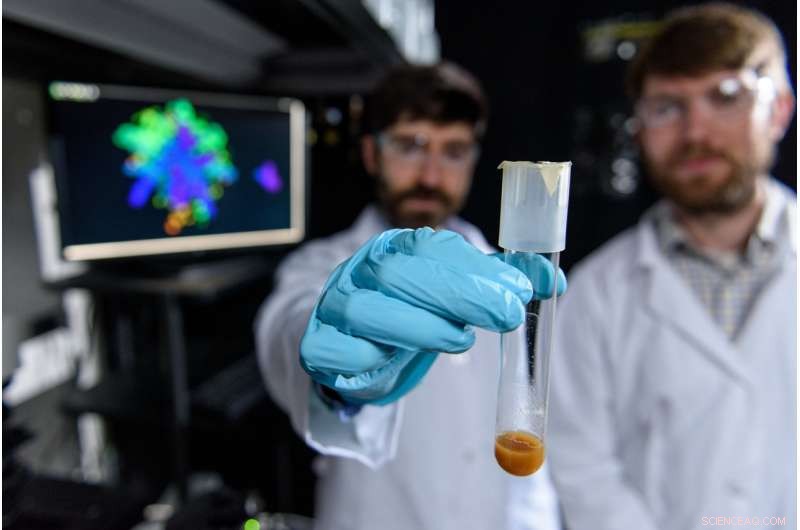 Physics Drives Evolution by Breaking Structural Constraints