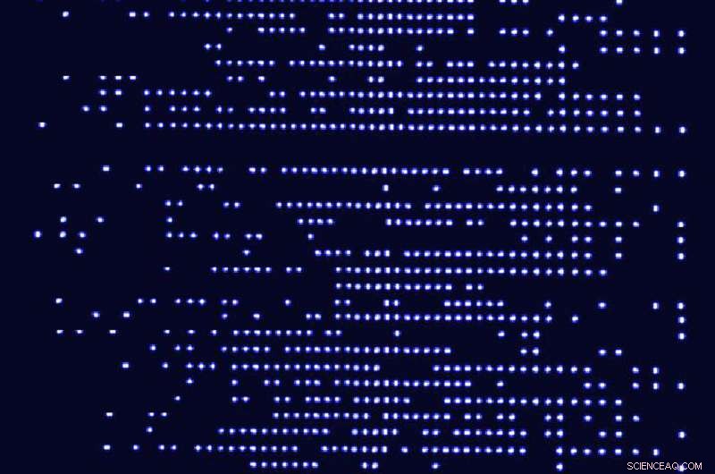 Quantum Simulators Achieve Record Control of 50+ Qubits