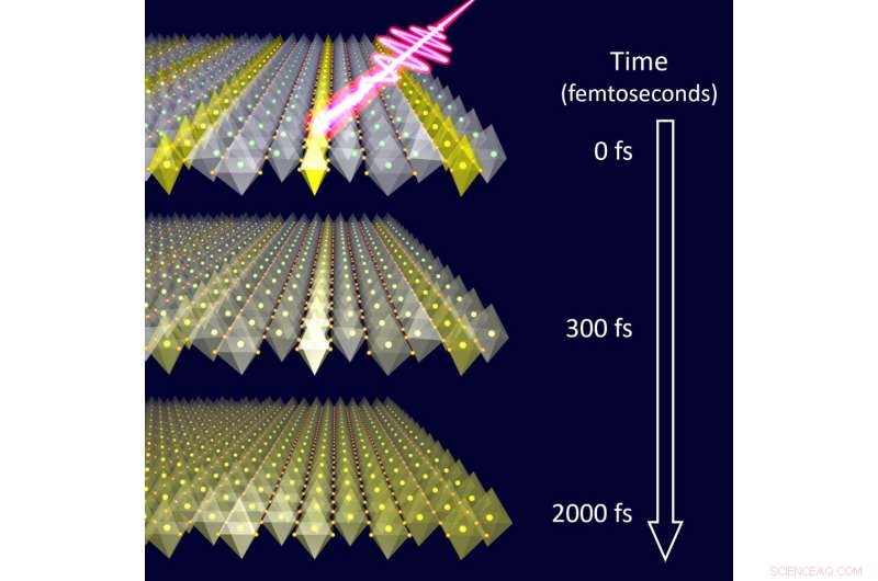 Terahertz Laser Pulses Reveal Ultrafast Coupling of Charge Stripes in Nickelate Crystals