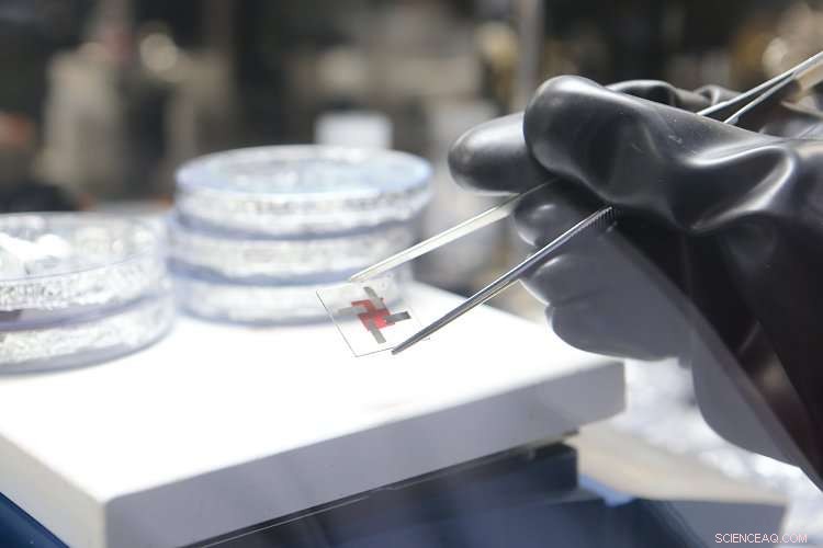 Revolutionary Ultra-Thin Photodiode Delivers Superior Stability & Performance