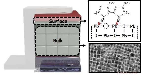 Revolutionary Ultra-Thin Photodiode Delivers Superior Stability & Performance