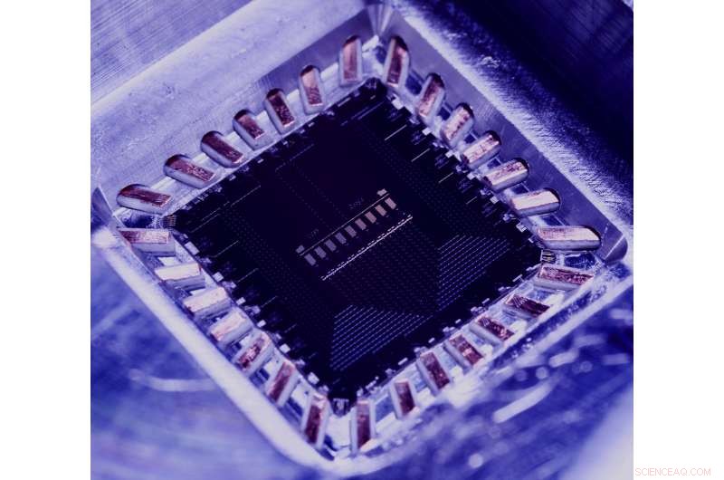 Quantum Simulation Reveals Butterfly Effect