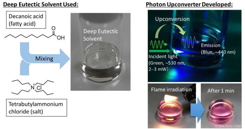 Enhanced Solar Efficiency via Sustainable Solvent-Enabled Photon Upconversion Platform
