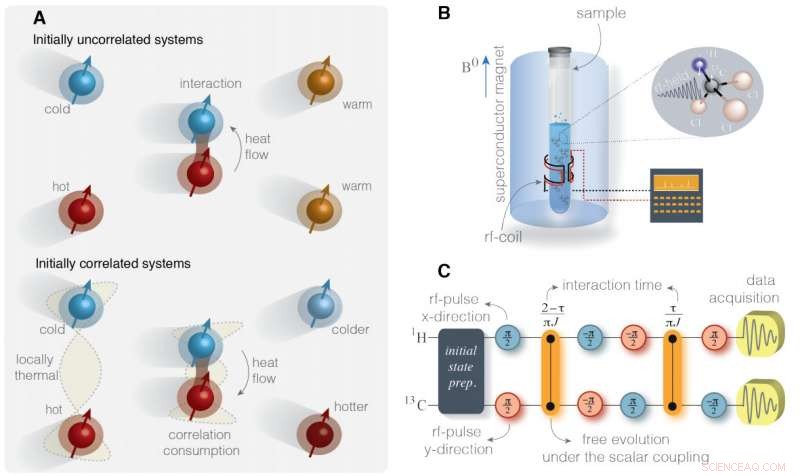 Experiment Reveals Arrow of Time Is Relative, Not Absolute