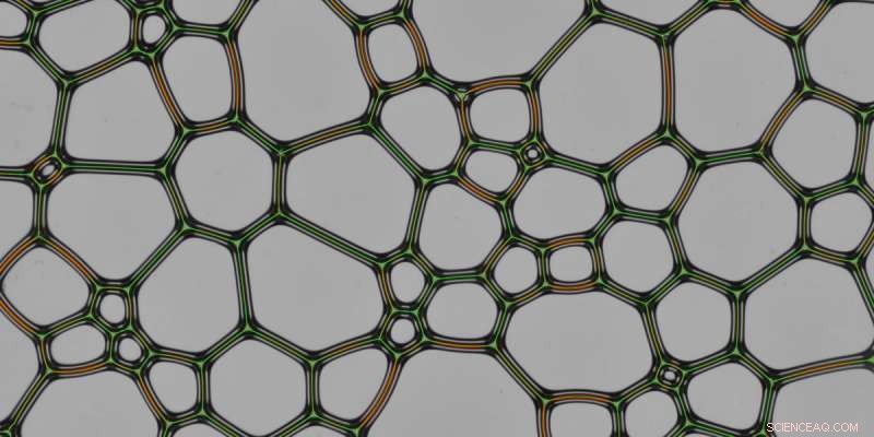 Physicists Reveal How Moisture Influences Foam Dynamics