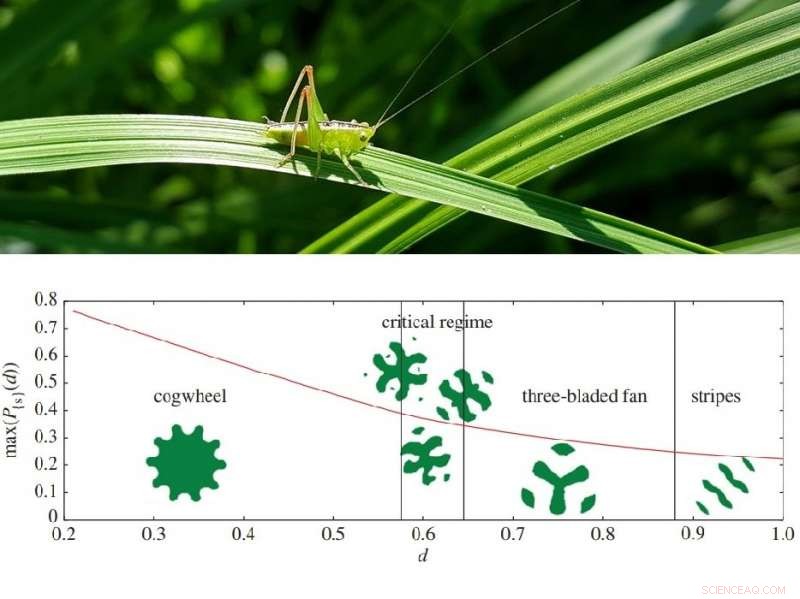 Grasshopper Optimization Problem Sheds Light on Quantum Theory