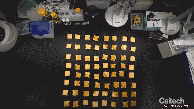 Scientists Create Tiny Mona Lisa on Massive DNA Canvas