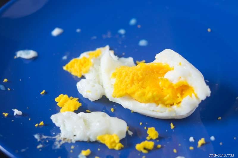 Microwave-Exploded Eggs: A Fascinating Acoustic Experiment
