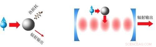 Harnessing Microcavity-Enhanced Plasmonic Resonances for Robust Light‑Matter Coupling