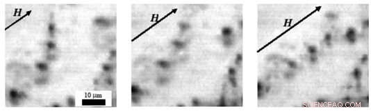 Scientists Explore Smart Magnetic Gel Behavior in Magnetic Fields