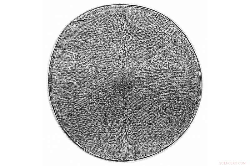 Record‑Breaking X‑ray Microscopy Lenses Reveal Unprecedented Detail