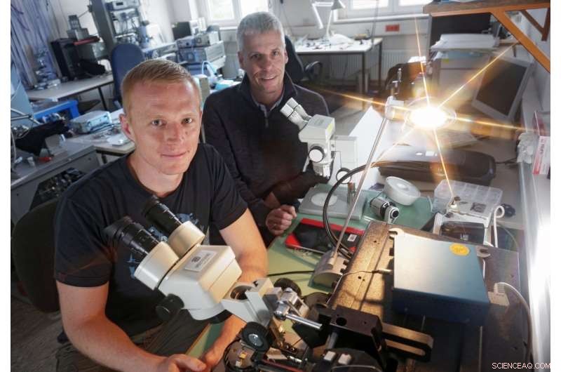 Unveiling Three Insights from a Single X-ray Measurement