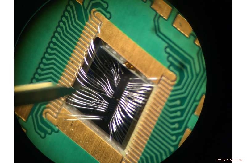 Silicon-Based Qubits Pave Way for Cost-Effective, Scalable Quantum Computers