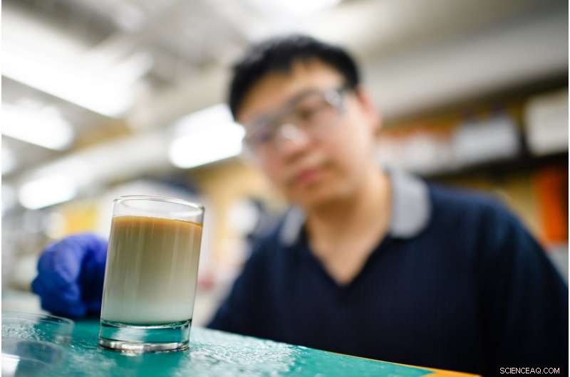 How Latte Layering Reveals Breakthroughs in Engineering, Medicine, and the Environment
