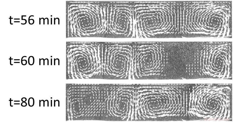 Unusual Thermal Convection Phenomena in Uniformly Mixed Fluids