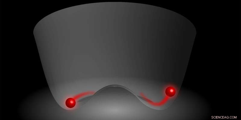 Real-Time Observation of Goldstone and Higgs Quantum Modes in Coupled Rubidium Atom Resonators