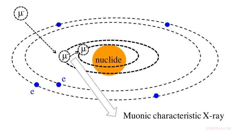 Muon Beam Analysis Reveals Organic Composition of Space Samples