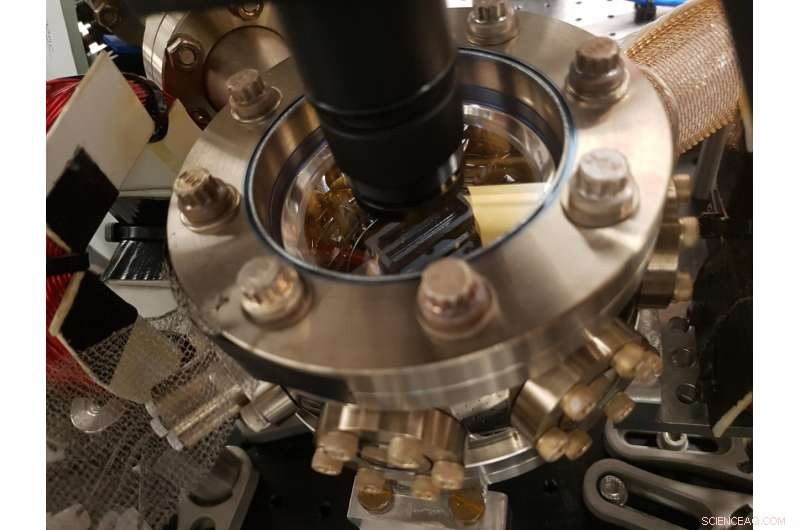 Sydney Researchers Develop Quantum Technique to Suppress Noise in Biomedical Sensors