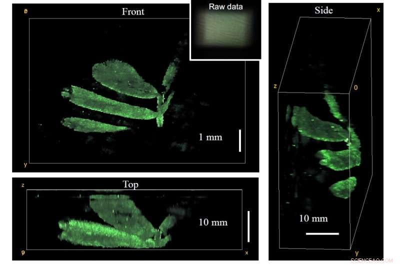 Innovative Lensless Camera Captures High-Detail 3D Images Without Scanning
