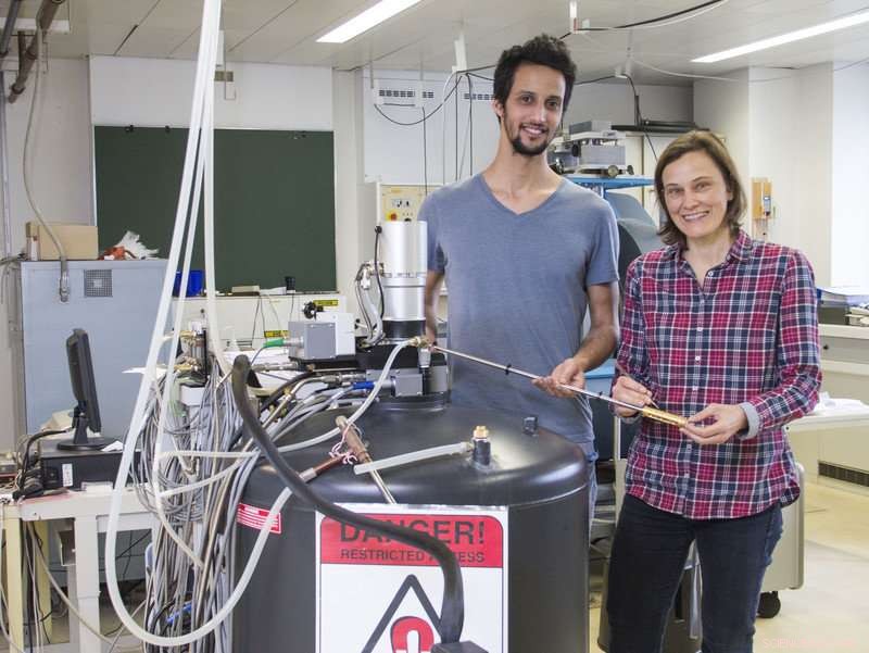 Discovery of Weyl Fermions in Strongly Correlated Electron Systems