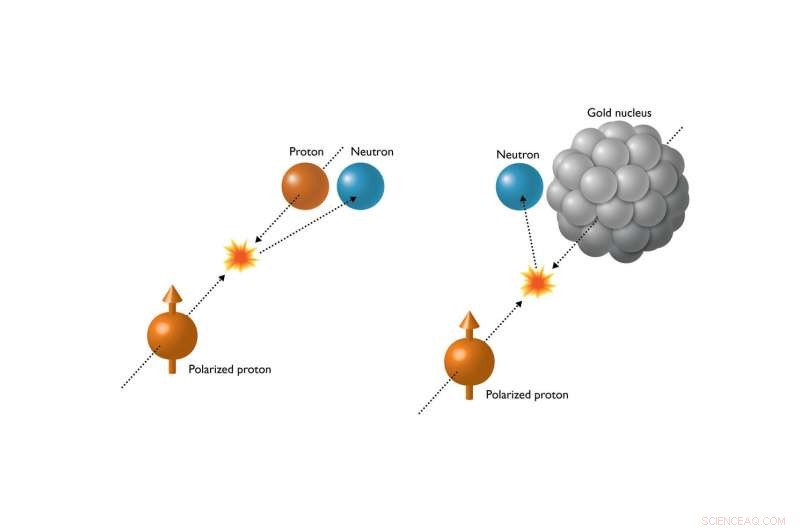 Unexpected Neutron Directionality Reveals New Spin Dynamics in Proton Collisions