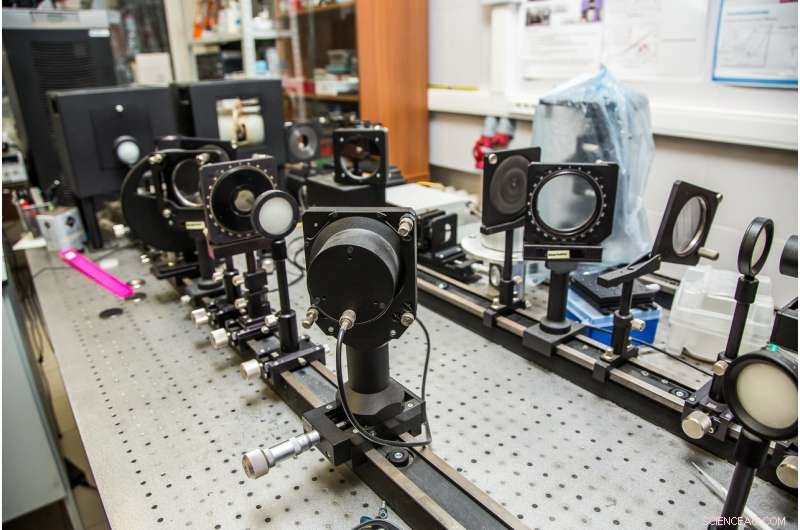 Advancing Biomaterial Science: Solid‑State Physics Illuminates Dielectric Properties