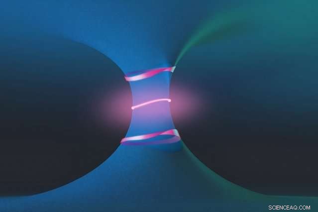 Discovering Exotic Phenomena in Photonic Crystals