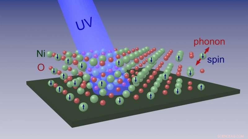 UC Riverside Researchers Unveil Electron Spin–Lattice Coupling in Nickel Oxide