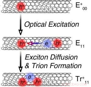 Harnessing Trions: The Next Leap in Room‑Temperature Electronics