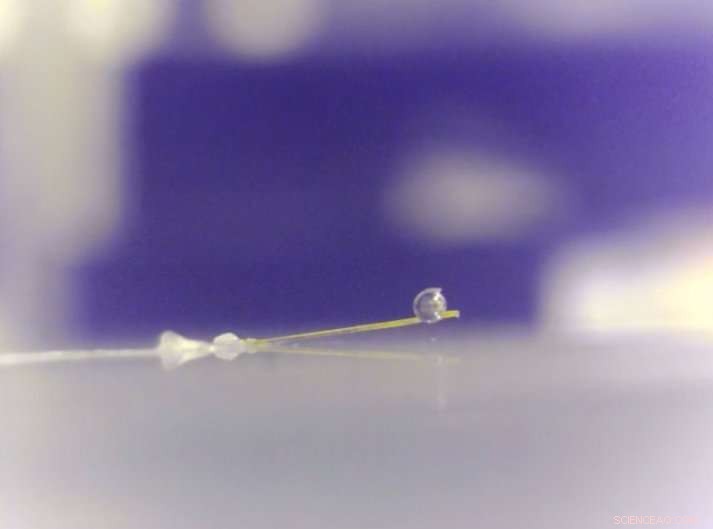 Scientists Investigate the Powerful Effects of Microscopic Crystals