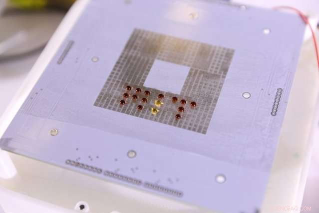 Electric Field‑Controlled Droplet Manipulation: A Low‑Cost, High‑Throughput Platform for Biological Experiments