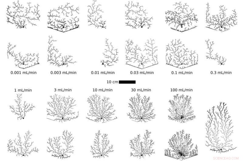 Swansea University Researchers Advance Groundbreaking Land Cleanup Techniques