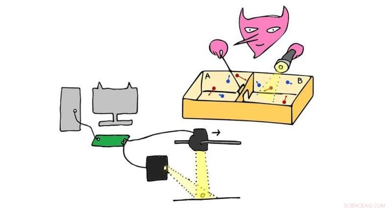 Experimental Information Engine Achieves Near-Perfect Efficiency