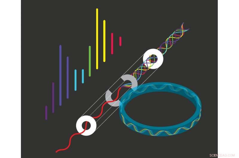 Revolutionary Model for Frequency Combs in Optical Microresonators