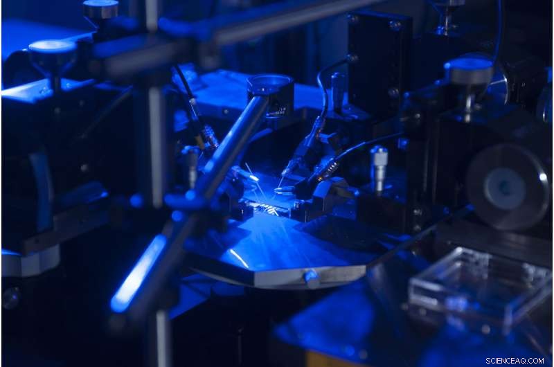 Optical Rectenna Breakthrough: Higher Efficiency & Stability Achieved