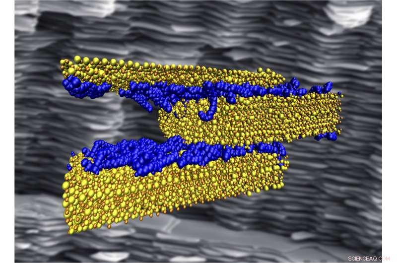 Weak Hydrogen Bonds Drive Strength and Toughness in Infrastructure Materials
