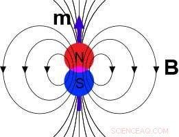 Reconciling Opposing Views: How Relativity Unifies the Magnetic Force