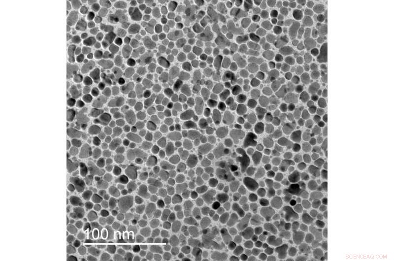 Scientists Capture Light‑Driven Compression and Expansion in Next‑Gen Data Storage Material
