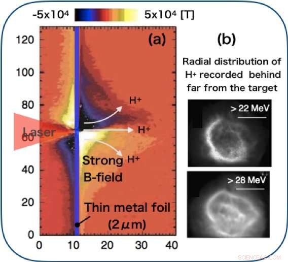 Harnessing Magnetic Brakes to Control Proton Acceleration