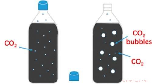 The Science Behind Fizz: How Bubbles Shape Your Favorite Beverages