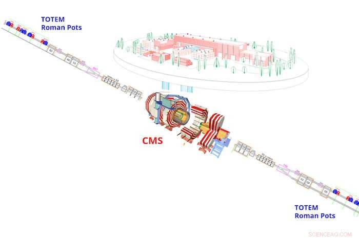 Odderon Discovery? LHC Finds Possible Evidence of Long‑Sought Quasi‑Particle